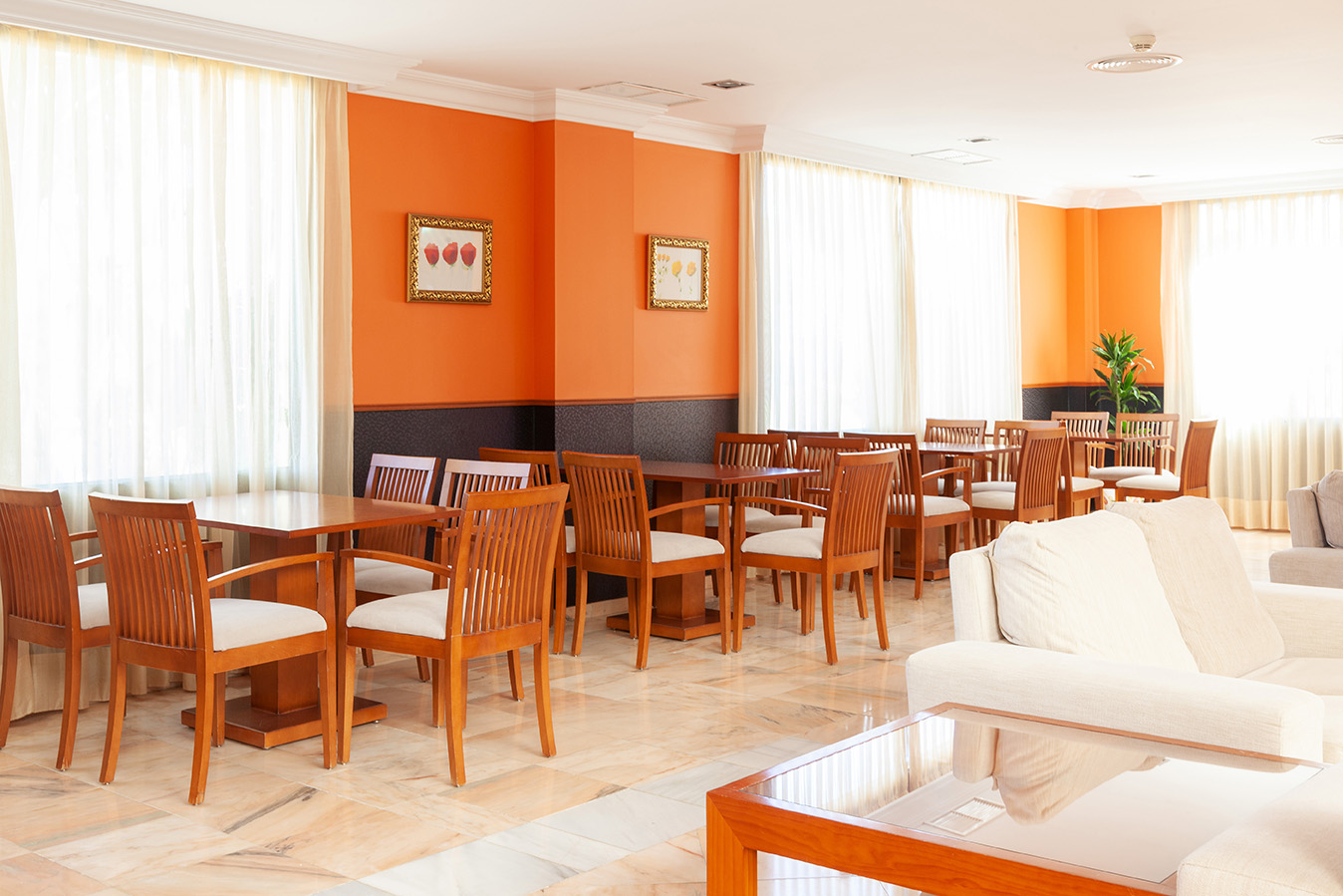 004_alta_playamarina Bar Recepción.jpg